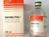 Huzurlu çıkış için Sodyum Nembutal Pentobarbital